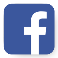Social icon 7