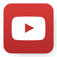 Social icon 4