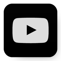 Social icon 4